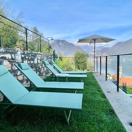 Il Noce Lake View Apartment Lezzeno Eksteriør billede
