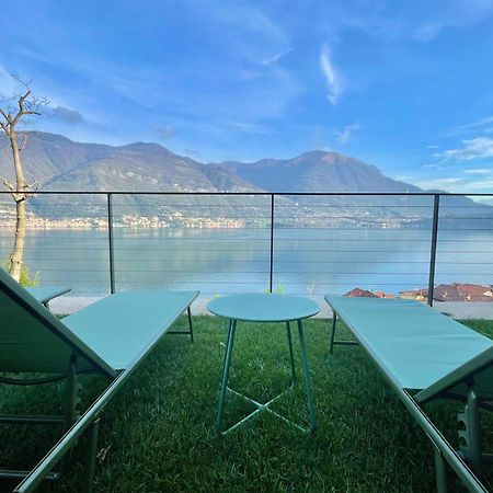 Il Noce Lake View Apartment Lezzeno Eksteriør billede