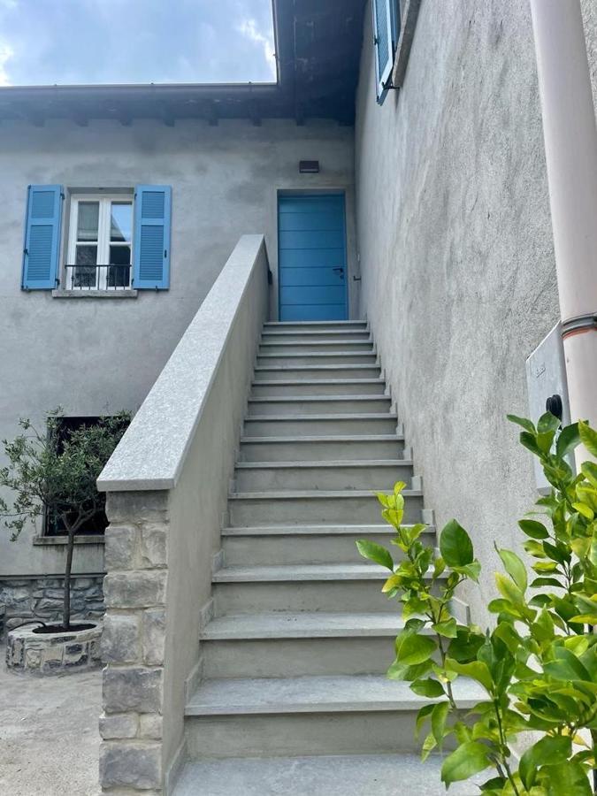 Il Noce Lake View Apartment Lezzeno Eksteriør billede