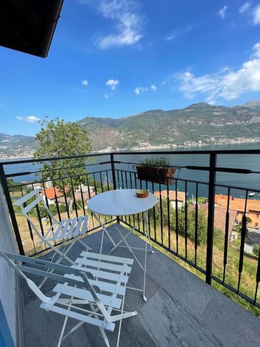 Il Noce Lake View Apartment Lezzeno Eksteriør billede