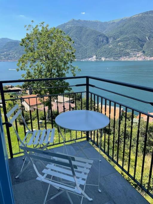 Il Noce Lake View Apartment Lezzeno Eksteriør billede