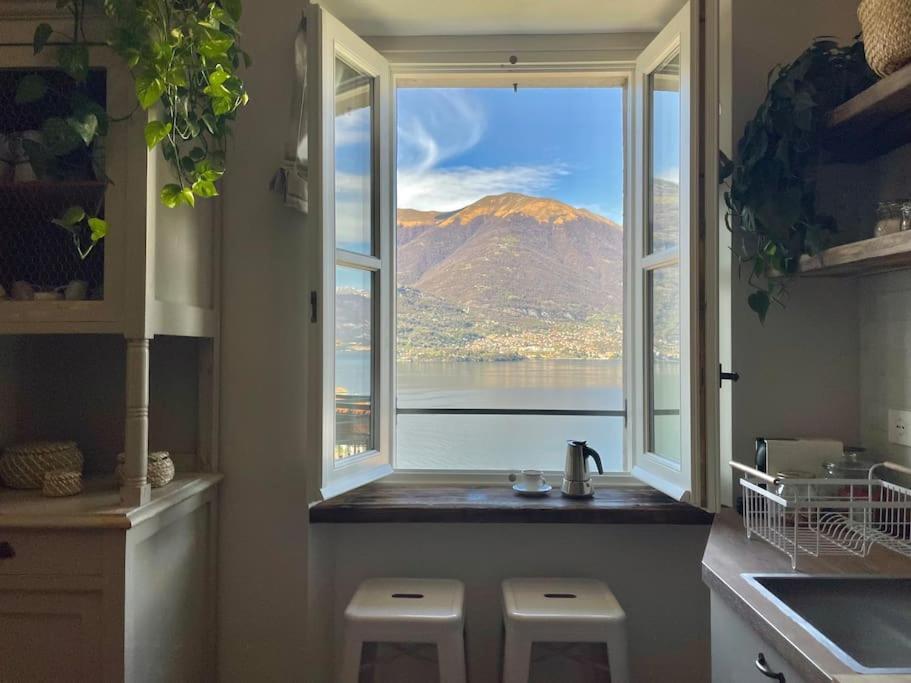 Il Noce Lake View Apartment Lezzeno Eksteriør billede
