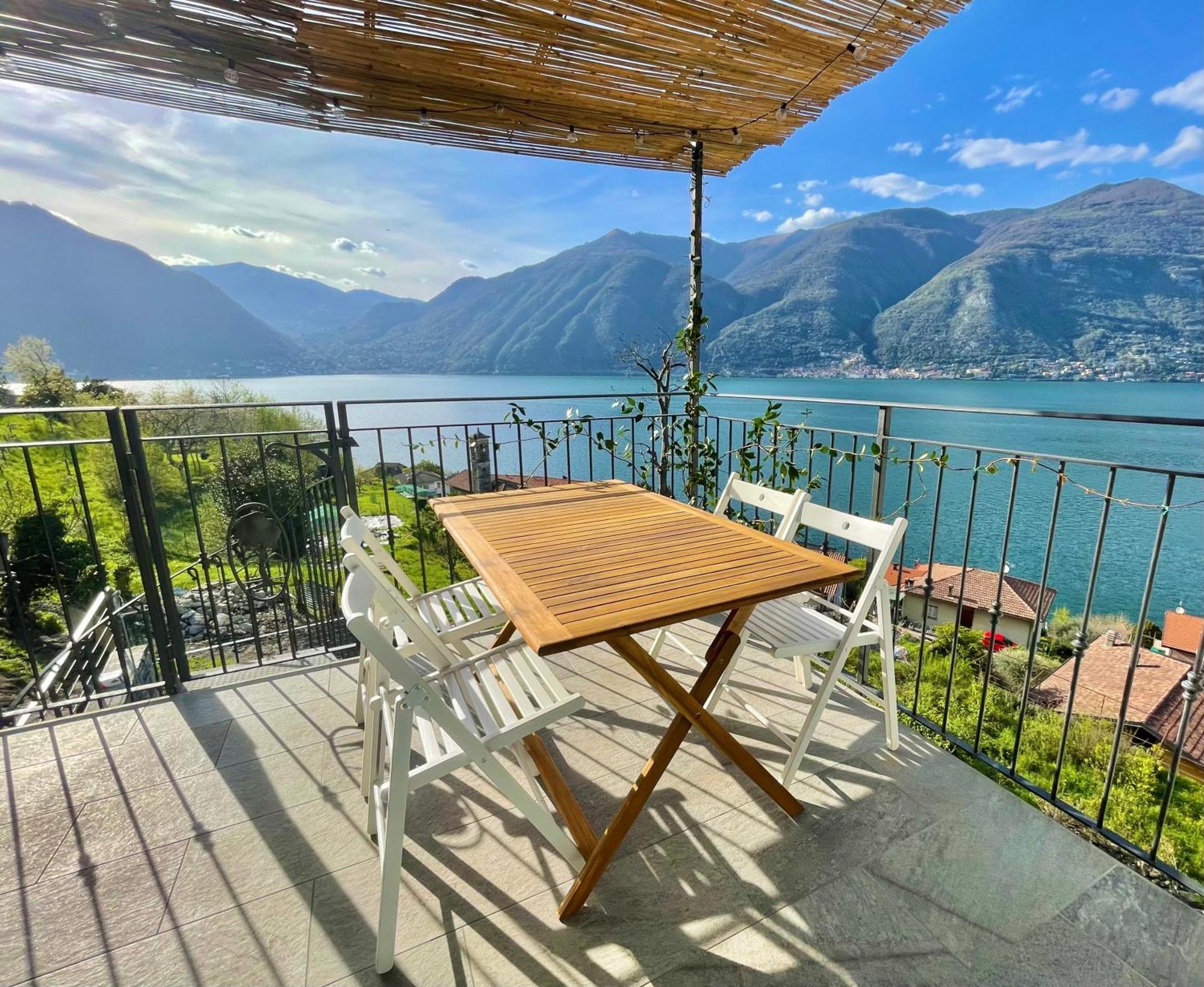 Il Noce Lake View Apartment Lezzeno Eksteriør billede